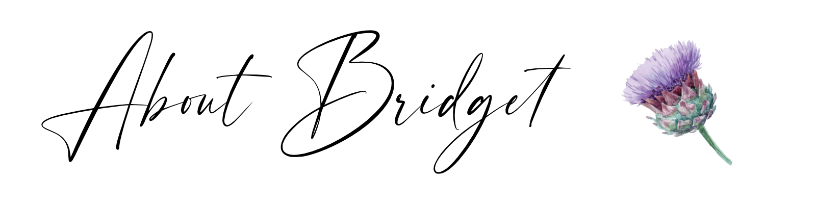 aboutbridget.com